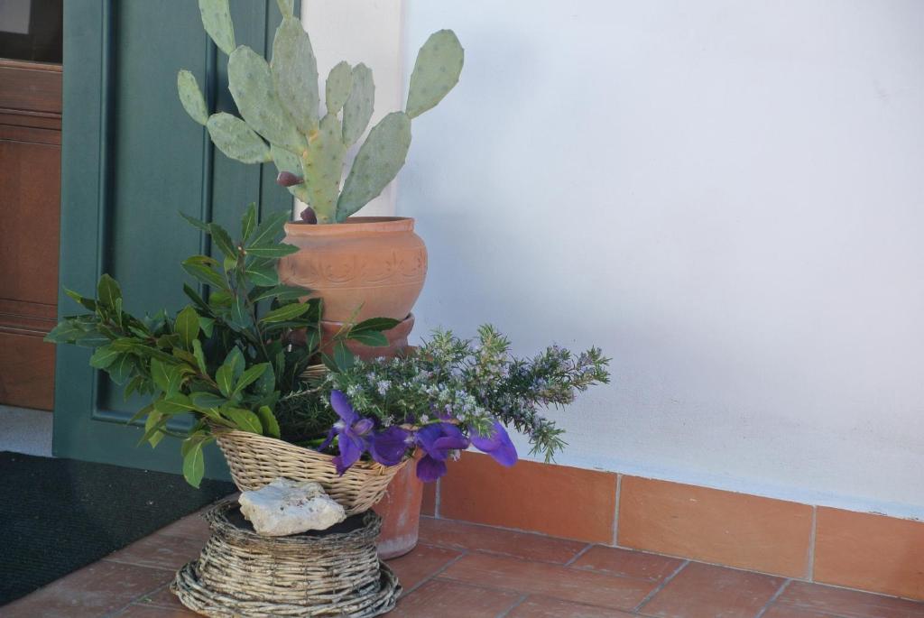 Il Giardino Del Te Hotel Barletta Exterior photo